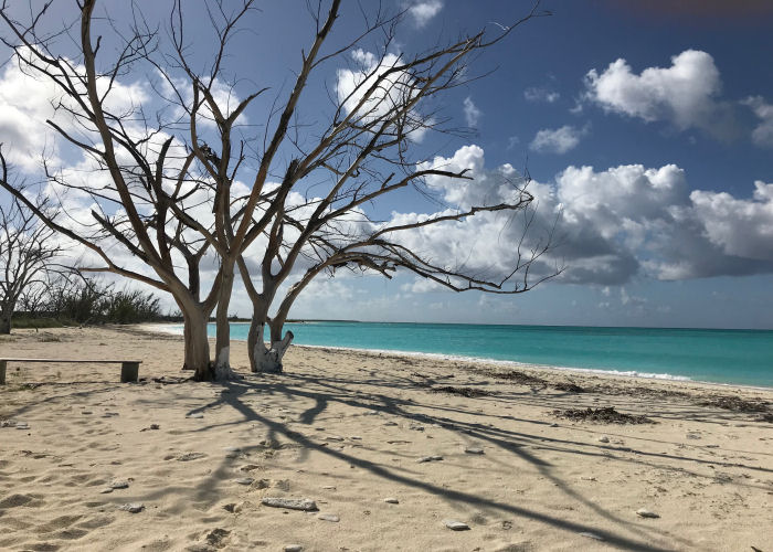 Beach - Long Island Bahamas