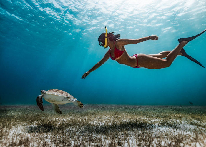Snorkeling - Long Island Bahamas