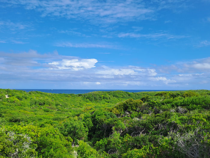 Ocean View Bahamas